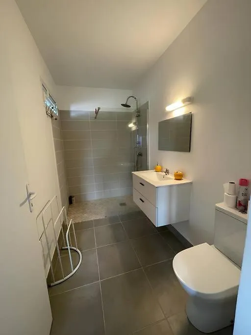 Apartment Bas De Villa F2 Neuf Avec Terrasse Et Piscine Le Diamant Martinique